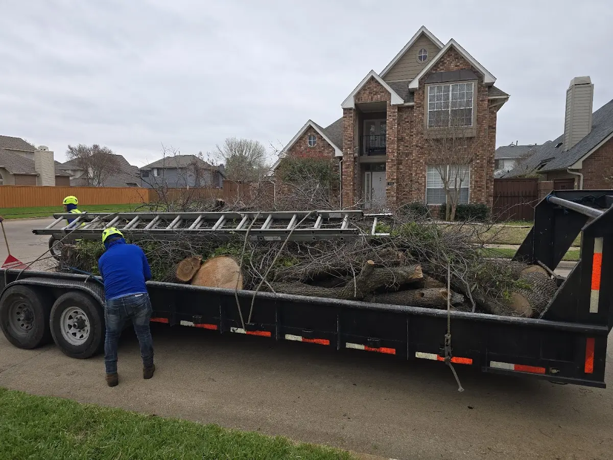 Expert Tree Fertilization with proper safety equipment in Blooming Glen